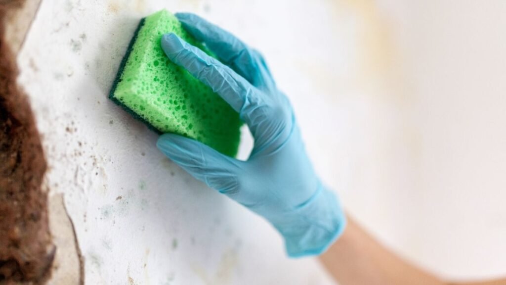 klempner bochum – ihr partner für nachhaltige sanierung schimmel wand