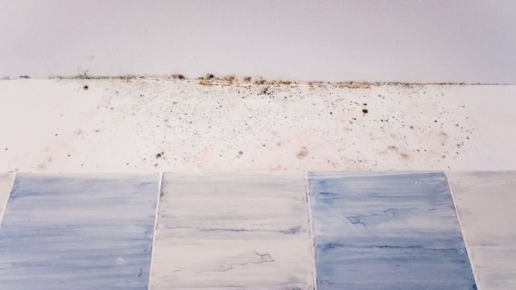 sanierung schimmel wand – warum schnelles handeln so wichtig ist